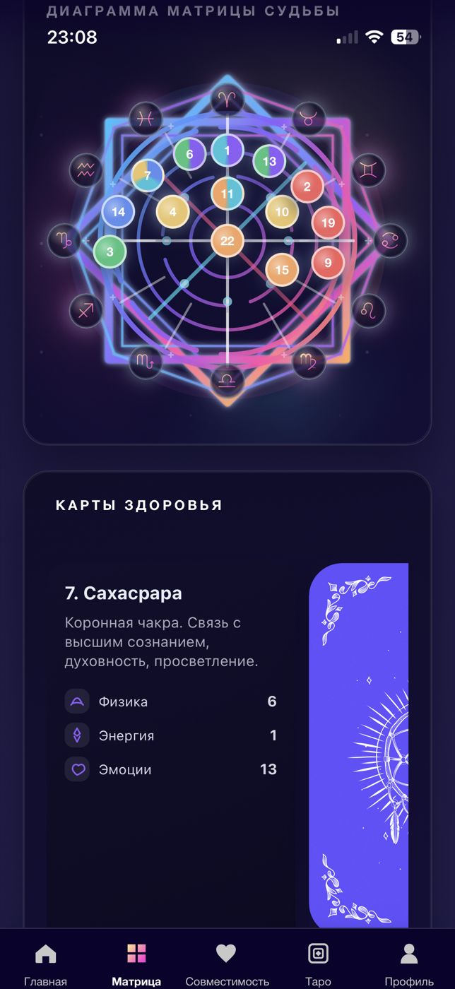Диаграмма Матрицы судьбы в приложении Zodiac Matrix
